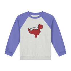 DAILY DINO SWEATER DAILY GREY