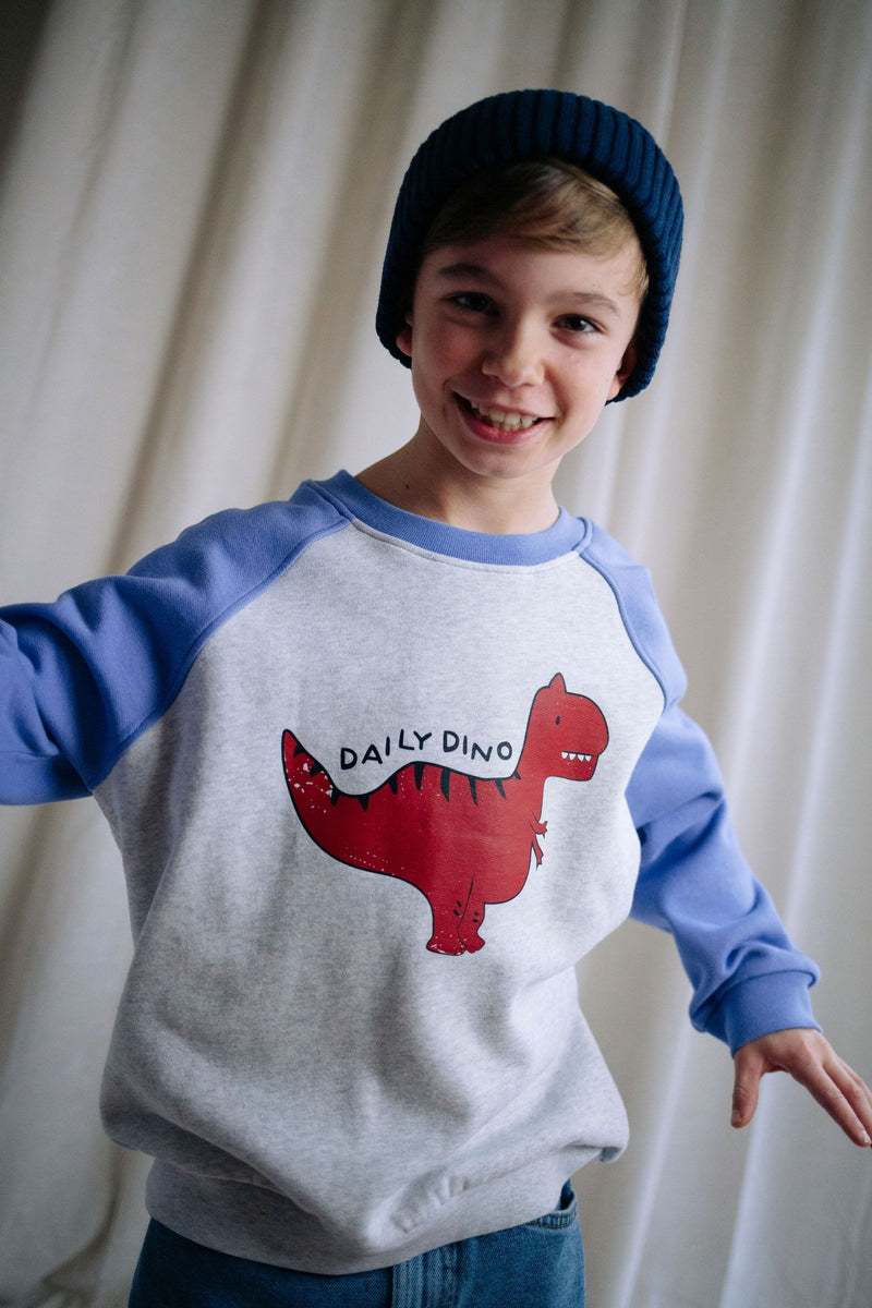 DAILY DINO SWEATER DAILY GREY