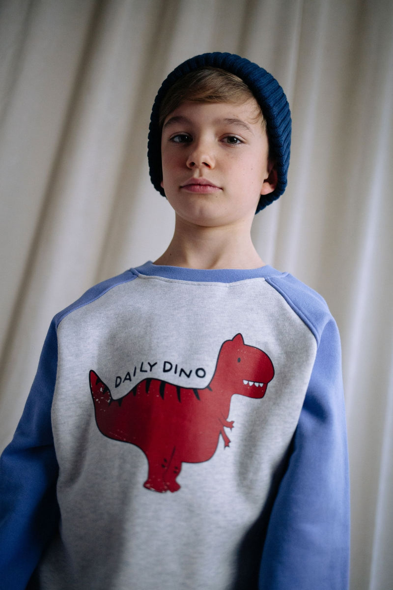 DAILY DINO SWEATER DAILY GREY