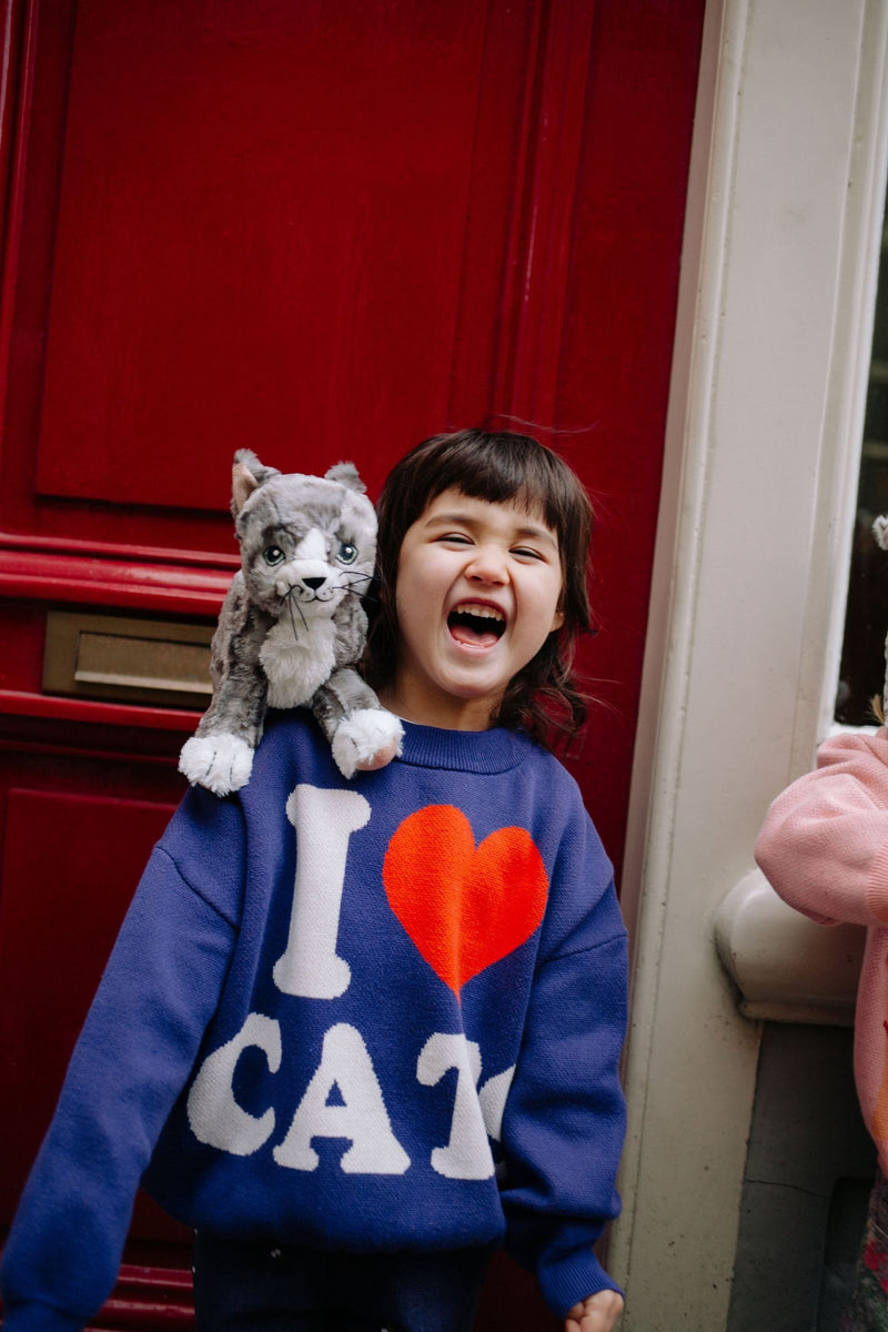 I LOVE CATS KNITTED SWEATER TABBY