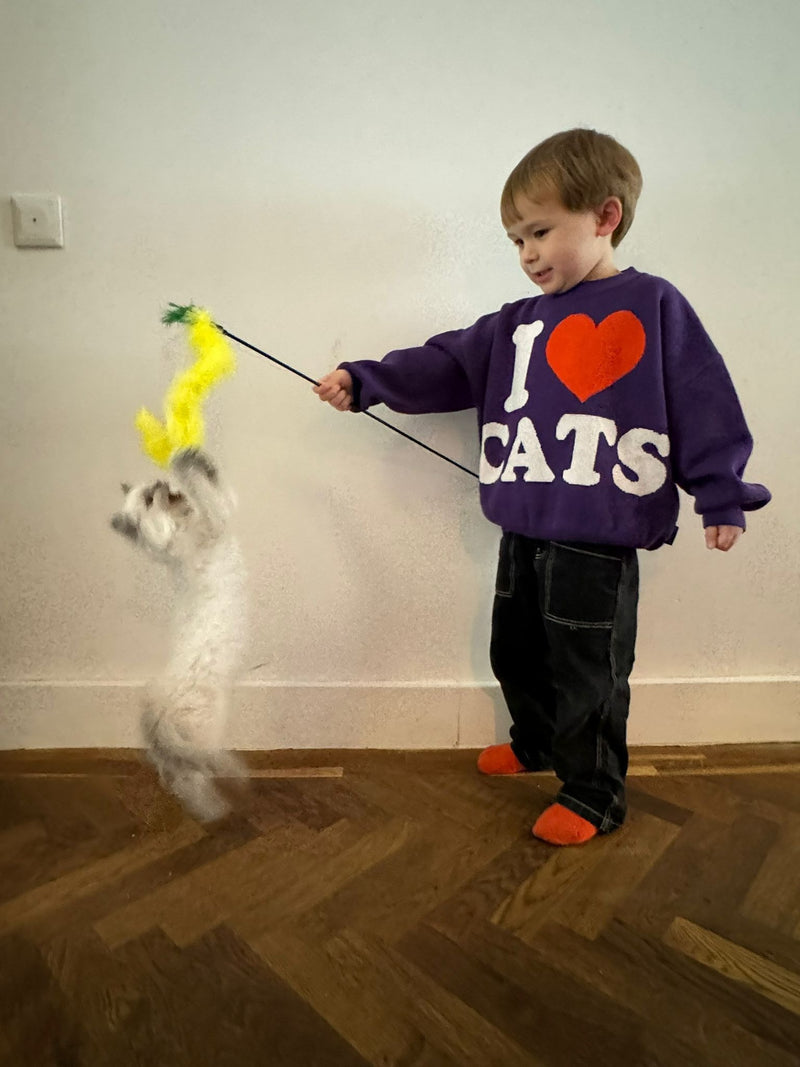 I LOVE CATS KNITTED SWEATER TABBY